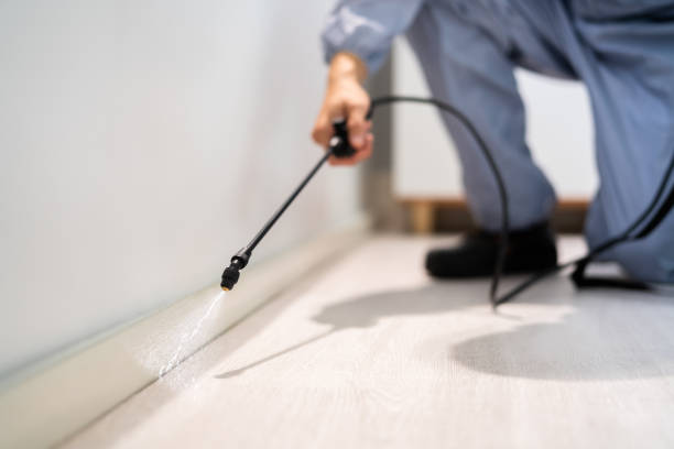Licensed Mosquito Control service in Camp Springs, MD - Show Me Pest Control
