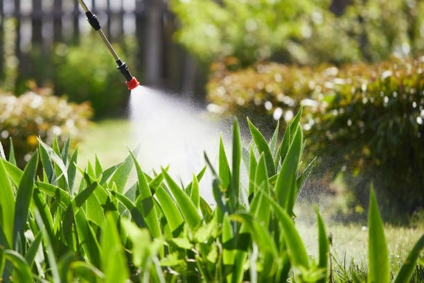 24/7 Emergency Mosquito Control experts in Camp Springs, MD