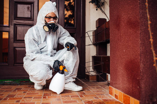 Reliable Mosquito Control contractor in Camp Springs, MD by Show Me Pest Control