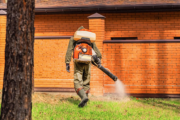 Top rated local Mosquito Control specialists in Camp Springs, MD